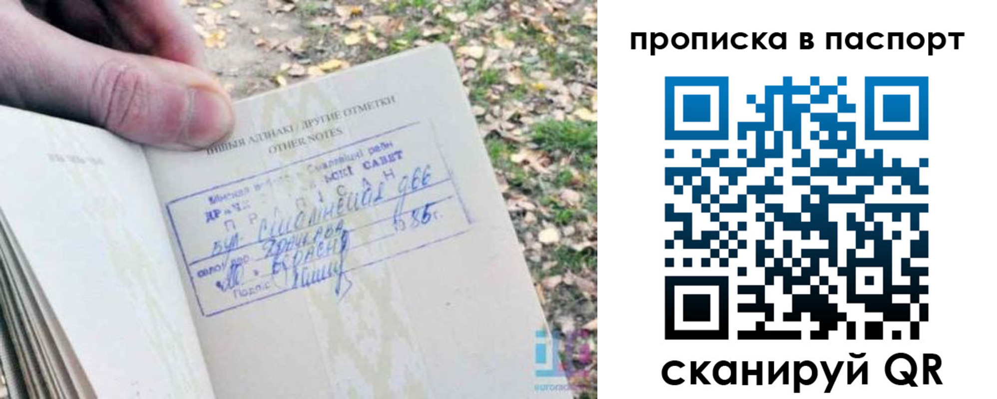 купить прописку в Бийске